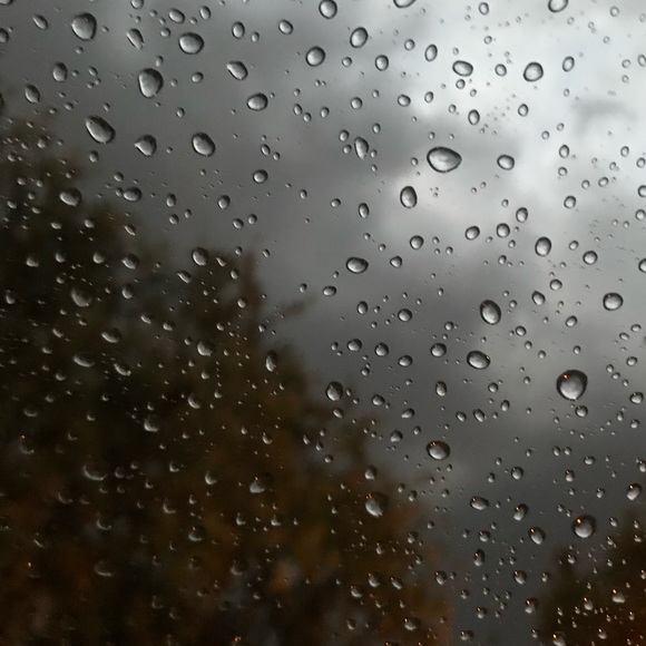 Meet your Posher, Franchesca - Picture 1 of 1